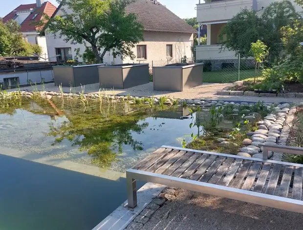 Pflanzlicher Bereich #2