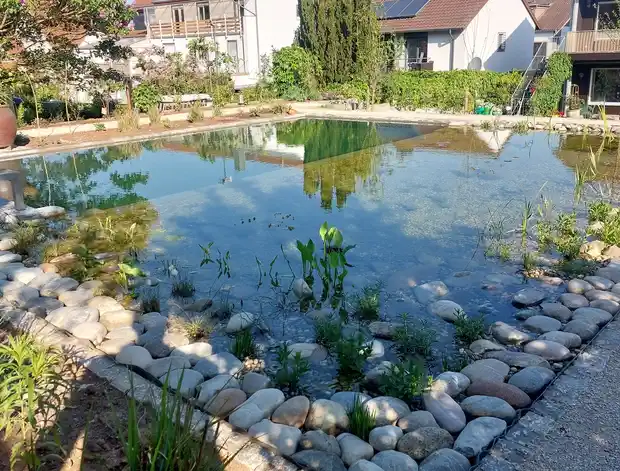 Pflanzlicher Bereich #3