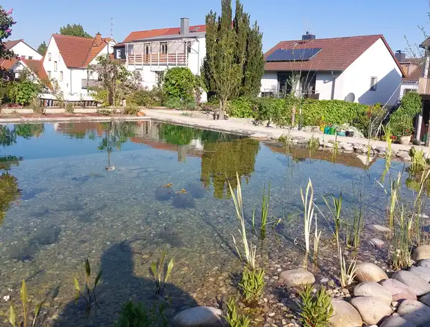 Pflanzlicher Bereich #4