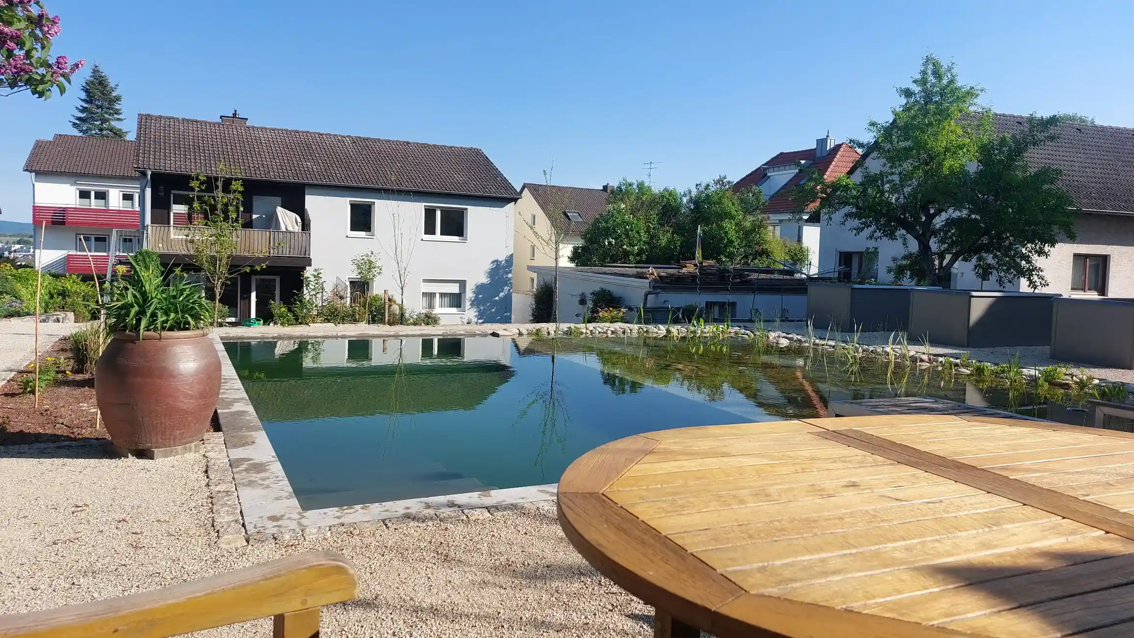 Überblick über den Teich