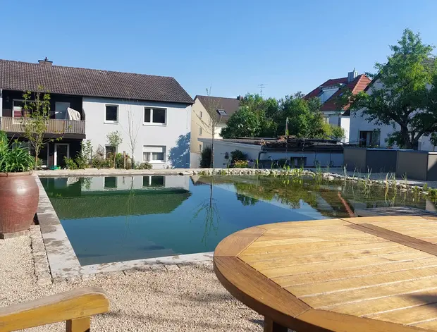 Überblick über den Teich