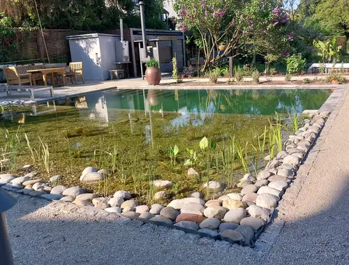 Überblick über den Teich