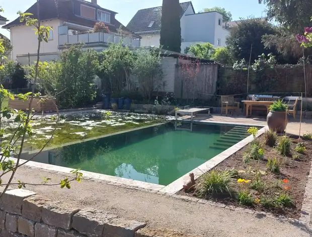 Zusammenspiel Garten und Teich